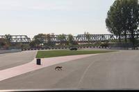 Montreal - Formel1 Rennstrecke