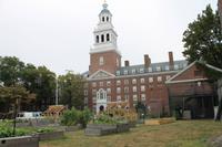 Bosten - Harvard
