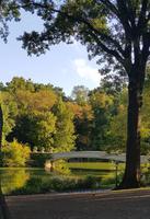Central Park (7)