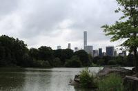 Central Park 2