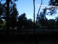Central Park