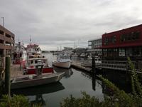 Hafen Portland (3)