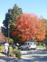 In Bar Harbor