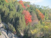Indian Summer