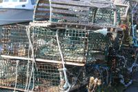 Lobsterfischen