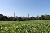 New York - Central Park