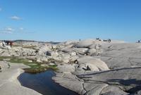Peggy's Cove 1