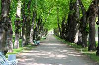 188-St.Petersburg-Pawlowskpalast-Gartenanlage