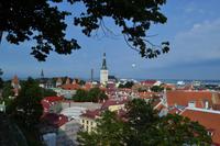 Estland_Tallinn_Dombergblick (4)