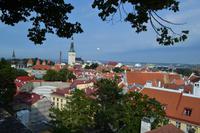 Estland_Tallinn_Dombergblick (7)