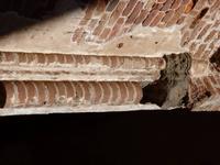 Estland_Tartu_Dorpad_Dom (5)