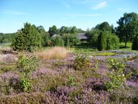 Finnland_Alandinseln_Sund_Karlsgaden (3)