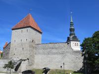 Tallinn mit Nikolaikirche