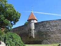 Tallinn STadtmaer auf Tompea