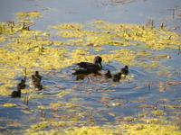 Helsinki Soumenlinna