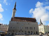 Tallinn Rathaus