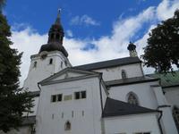 Tallinn Dom