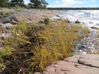 Aland-Inseln bei Eckerö
