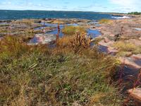 Aland-Inseln bei Eckerö