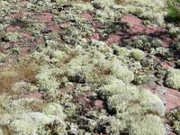 Aland-Inseln bei Eckerö 