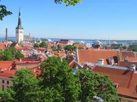 Blick auf Tallinn
