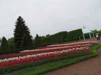 Peterhof