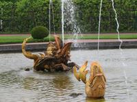 Fontänen Peterhof
