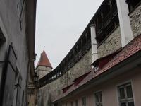 Burgmauer Tallinn