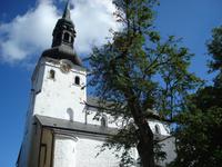 Tallinn: Dom