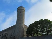 Tallin, Langer Hermann