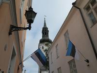 Tallinn Dom