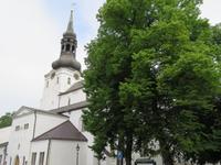 Tallinn Dom
