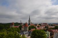 Die Altstadt Tallinns