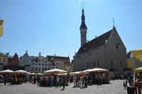 Das Rathaus in Tallinn