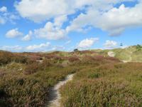 Ostsee-Kreuzfahrt mit AIDAaura - Bornholm