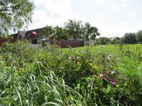 Ostsee-Kreuzfahrt mit AIDAaura - Bornholm, Rundkirche