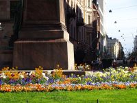 Helsinki: An der Esplanade