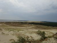 Nidden: Dünenlandschaft