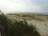 Nidden: Dünenlandschaft