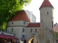 Tallinn: Rundgang