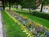 Helsinki: An der Esplanade