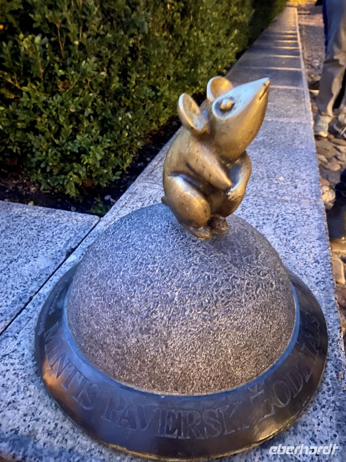 Tag 2 - Wundermäuschen