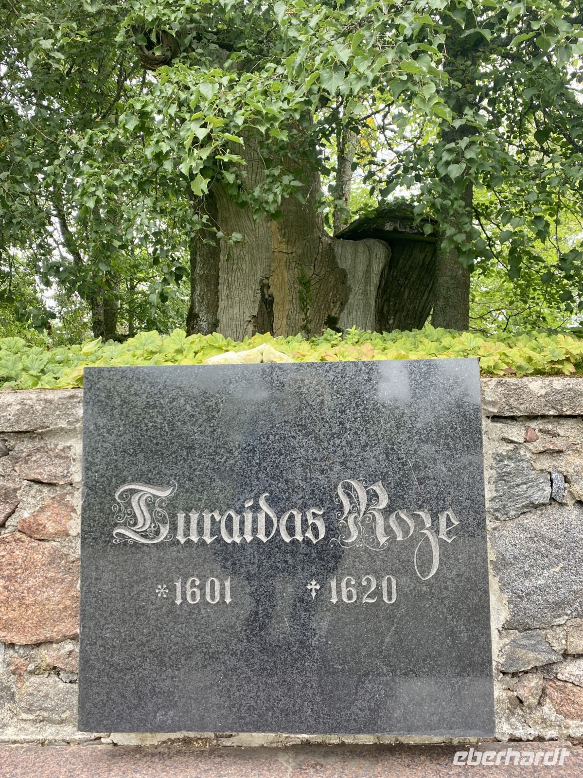 Tag 5 - Rose von Turaida 