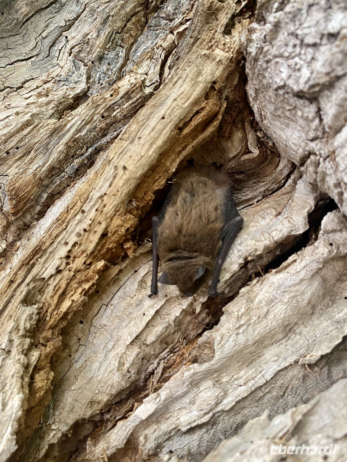 Tag 5 - Entdeckungen