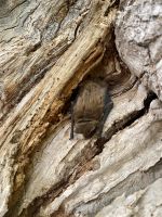 Tag 5 - Entdeckungen