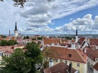 Tag 7 - Aussicht auf Tallinn 