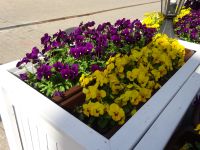 Jurmala: Majori: Rundgang