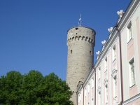 Tallinn: Stadtrundgang: Langer Hermann