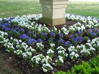 Tallinn: Stadtrundgang