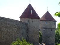 Tallinn: Stadtmauer mit Kiek in de Kök